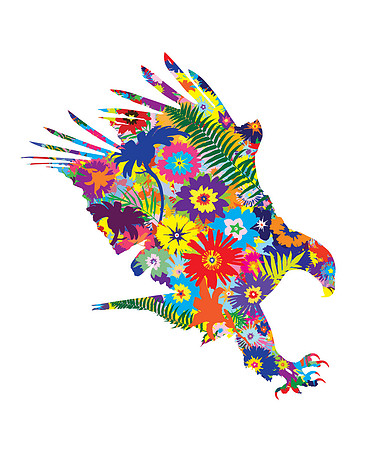 pretty on the inside - hawk
